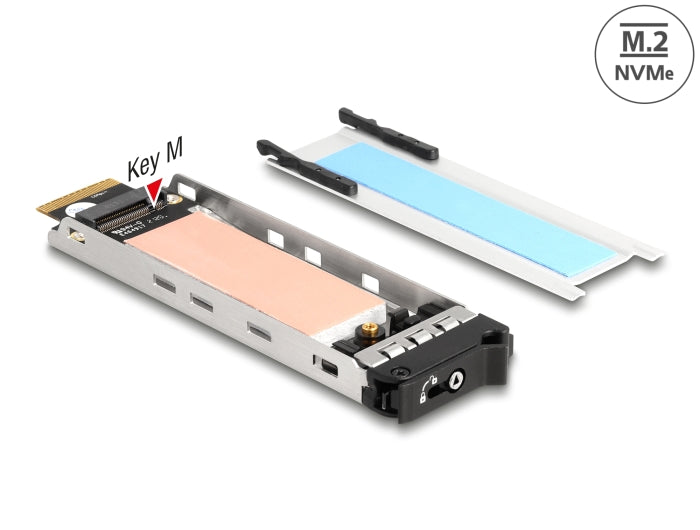 Delock Wechselrahmen Einschub 1 x M.2 NVMe SSD für Wechselrahmen 47028 / 47042 / 47070 / 47072 / 47111 / 47117 / 47126 / 47129
