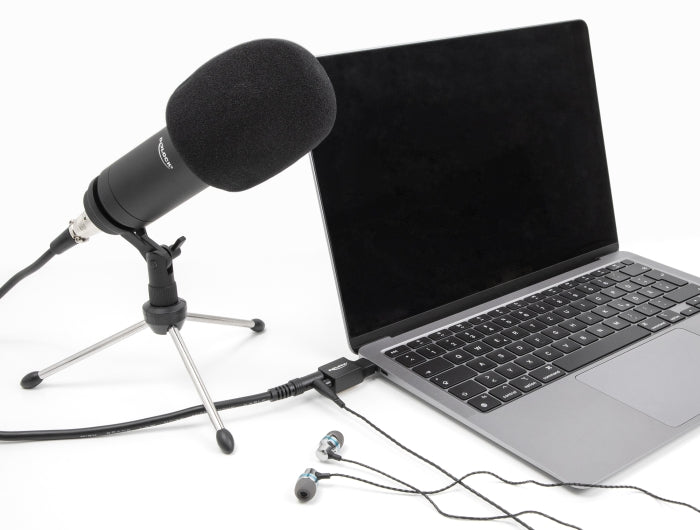 Delock Externe USB Soundkarte mit USB Type-C™ Stecker auf 2 x 3,5 mm Klinkenbuchse Plug & Play Audio Adapter schwarz