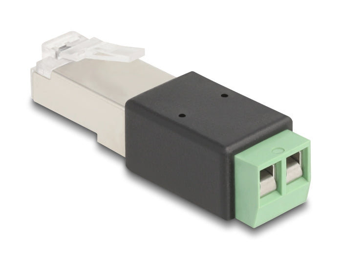 Delock RJ45 Stecker zu Terminalblock Adapter 2 Pin