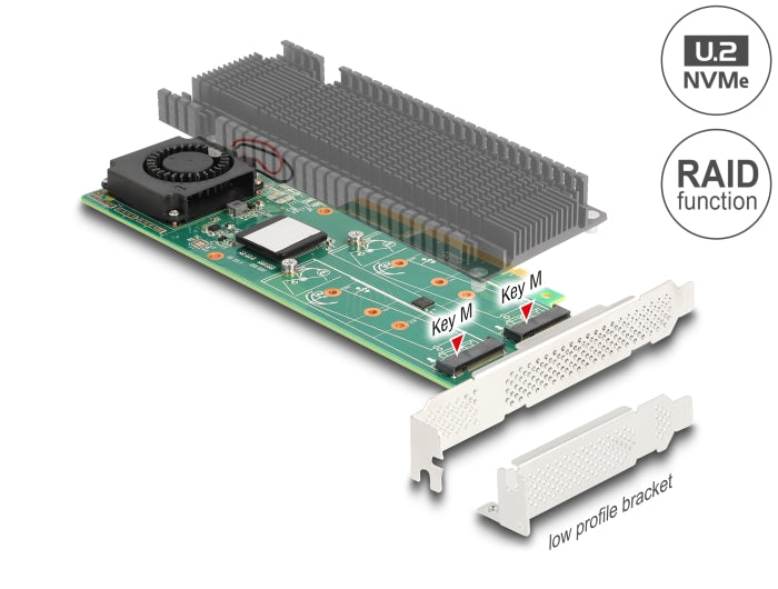 Delock PCI Express x8 Karte zu 2 x intern NVMe M.2 Key M mit RAID - Low Profile Formfaktor