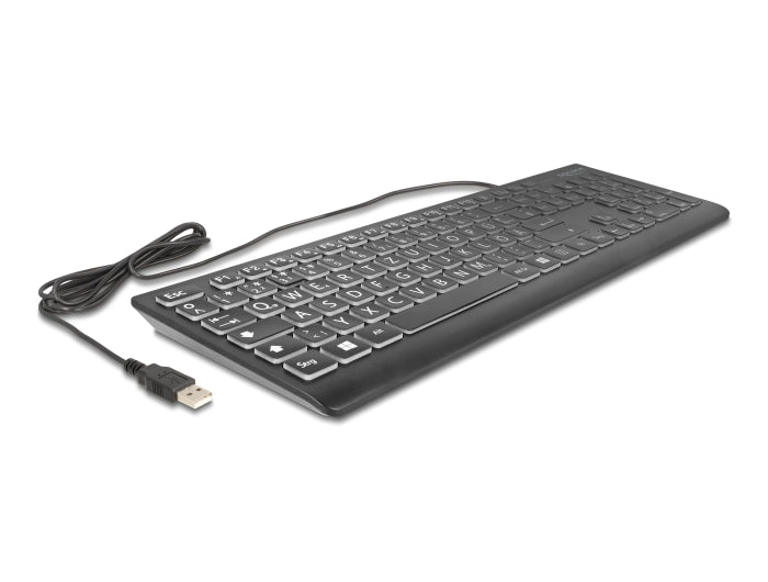 Delock USB Tastatur kabelgebunden 1,5 m schwarz mit XXL Buchstaben und Beleuchtung