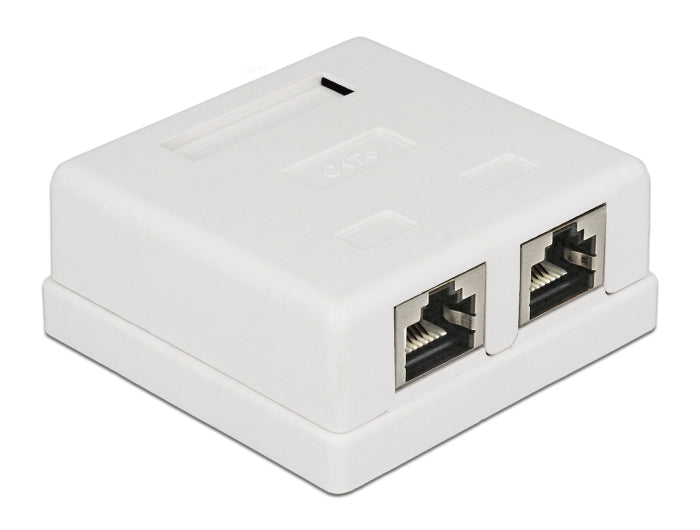Delock Netzwerk Anschlussdose 2 Port Cat.6