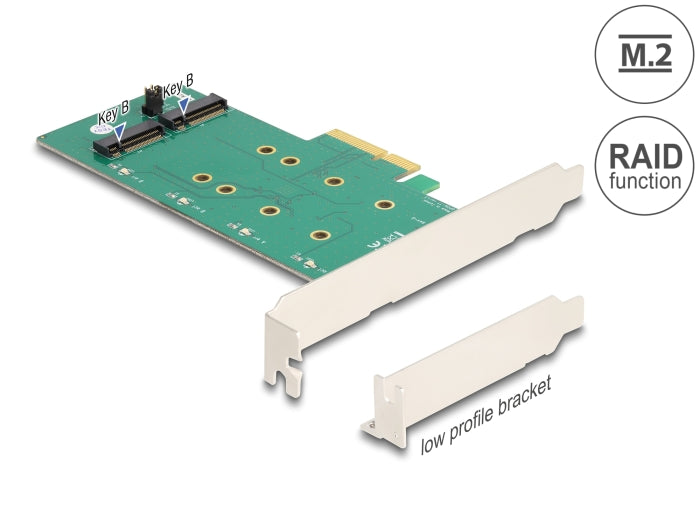 Delock PCI Express x4 Karte > 2 x intern M.2 Key B mit RAID - Low Profile Form Faktor