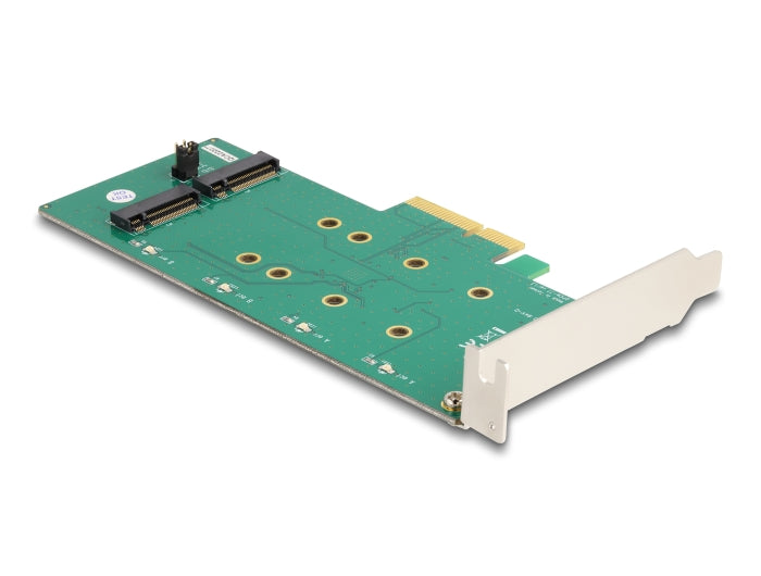 Delock PCI Express x4 Karte > 2 x intern M.2 Key B mit RAID - Low Profile Form Faktor