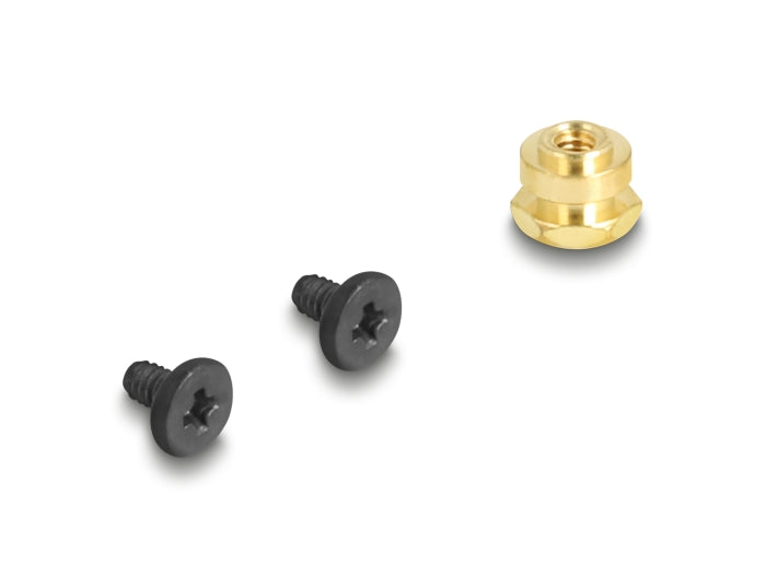 Delock Adapter M.2 Key M Stecker > M.2 Key E Slot