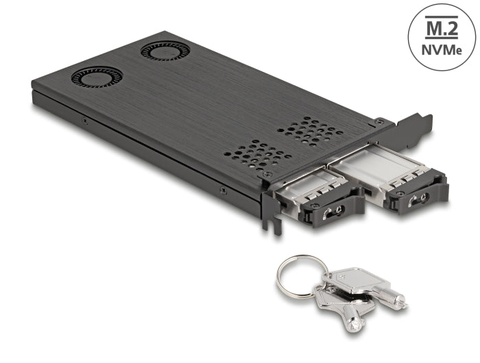 Delock PCI Express x16 Karte Wechselrahmen für 2 x M.2 NVMe SSD - Bifurcation