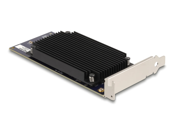 Delock PCI Express x8 Hailo-8™ AI Prozessor x2 KI-Beschleuniger