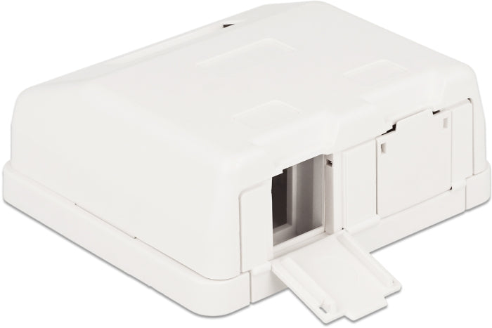 Delock Keystone Leergehäuse 2 Port mit Staubschutz