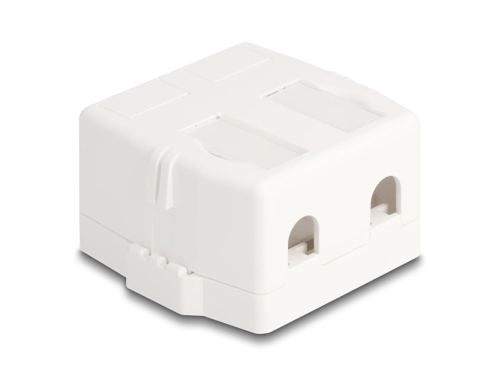 Delock Keystone Leergehäuse 2 Port mit magnetischer Unterseite, weiß