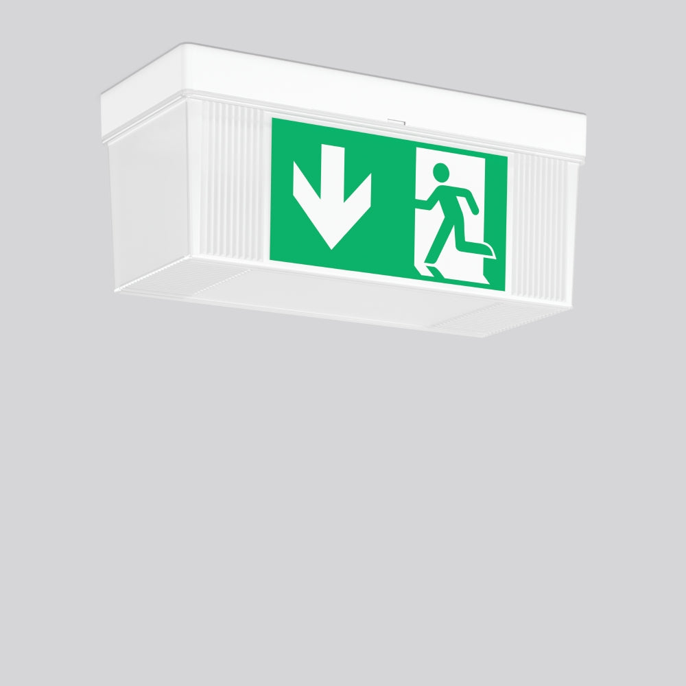 RZB LED-Sicherheitsleuchte 0 6500K 21m GSUN 4 671820.002.2.89 Wand/Decke