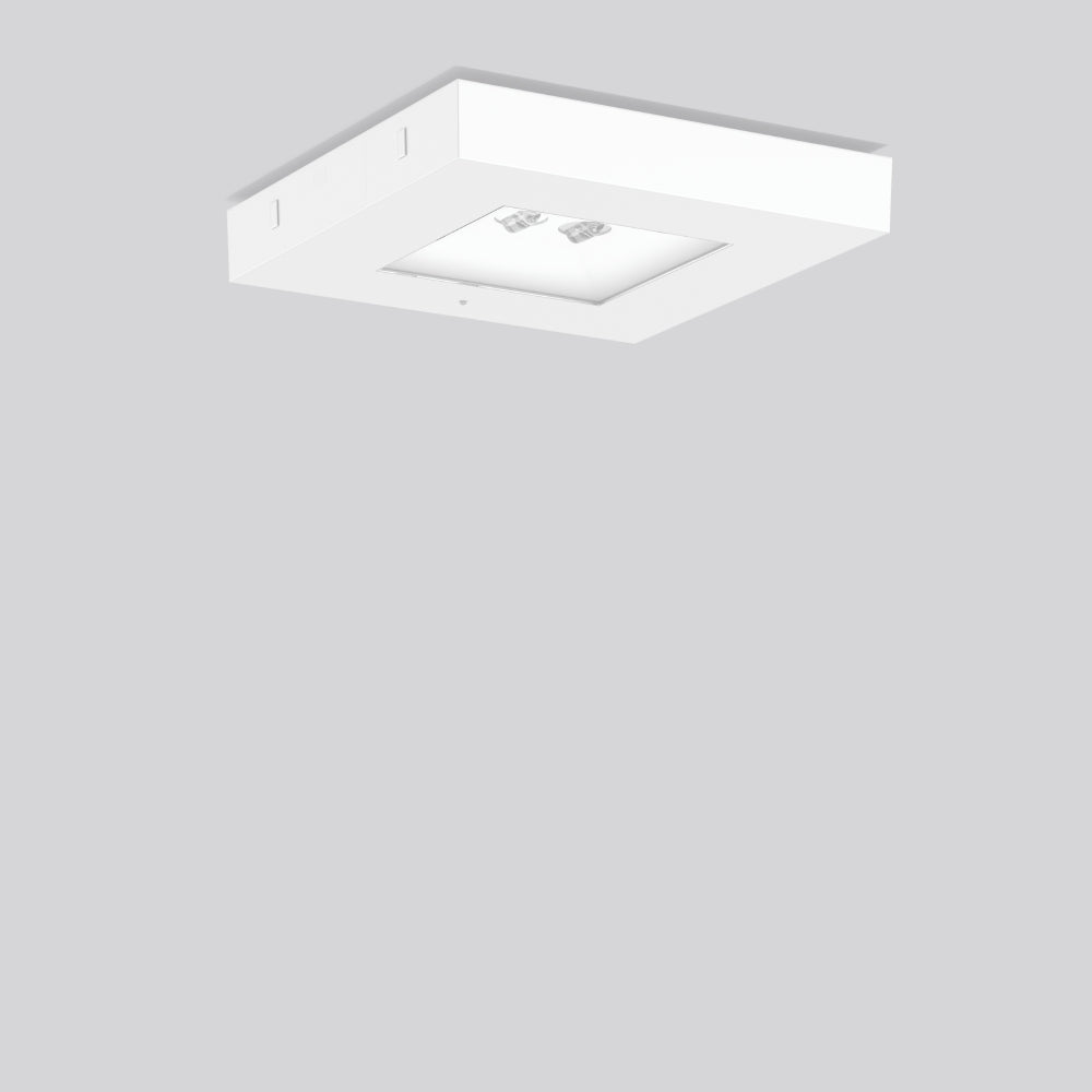 RZB LED-Sicherheitsleuchte 6,5W 6500K CENTRYXX 672170.002 400lm Deckenanb