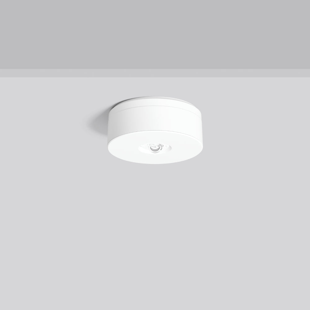 RZB LED-Sicherheitsleuchte 4,6W 4000K LUCIO 2 672529.002 310lm Deckenanb