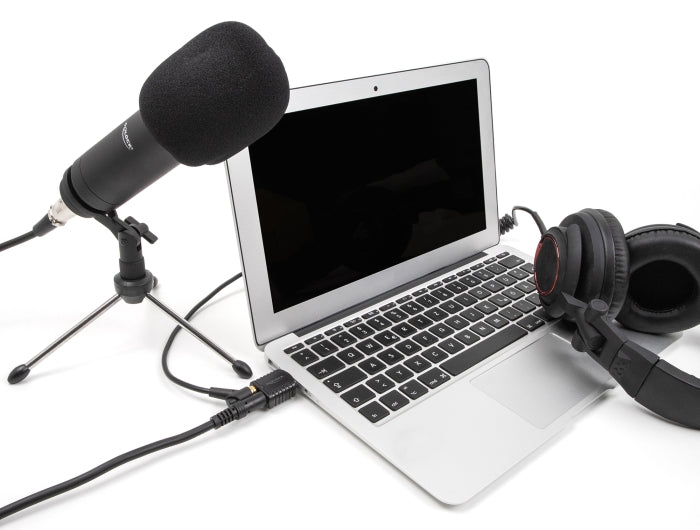 Delock Externe USB Soundkarte 24 Bit / 96 kHz Plug & Play für Windows, MAC, Linux, Chrome OS