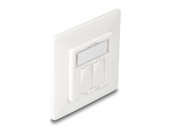 Delock Keystone Anschlussdose 2 Port kompakt