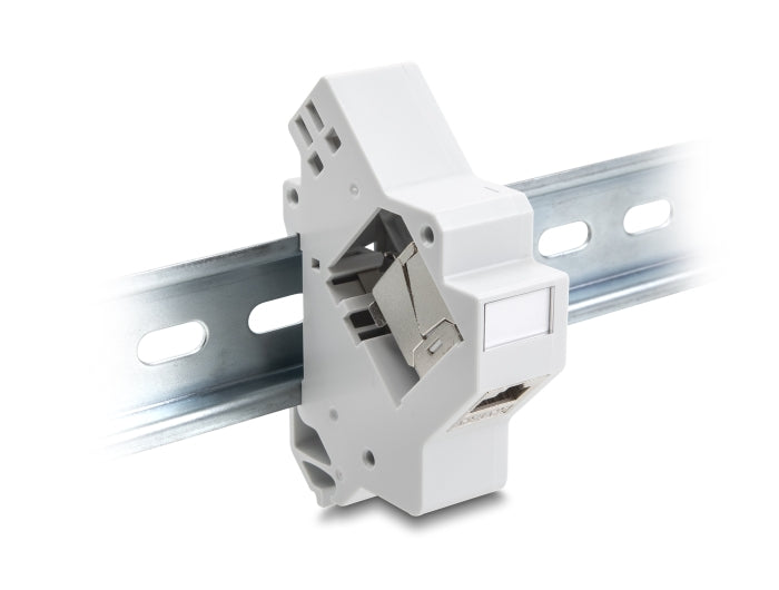 Delock Keystone Halterung für Hutschiene mit Erdung grau