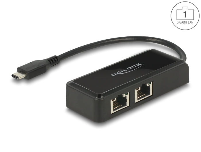 Delock USB Type-C™ Netzwerk Adapter Gigabit LAN 2 x RJ45