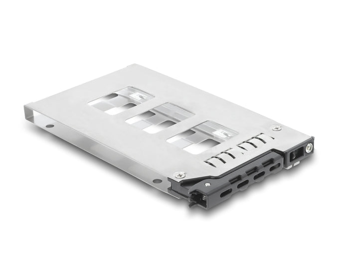 Delock Wechselrahmen Einschub für 1 x 2.5″ SATA / SAS HDD / SSD für Wechselrahmen 47172