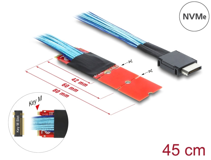 Delock M.2 Key M zu 1 x OCuLink SFF-8611 Konverter mit 45 cm Kabel