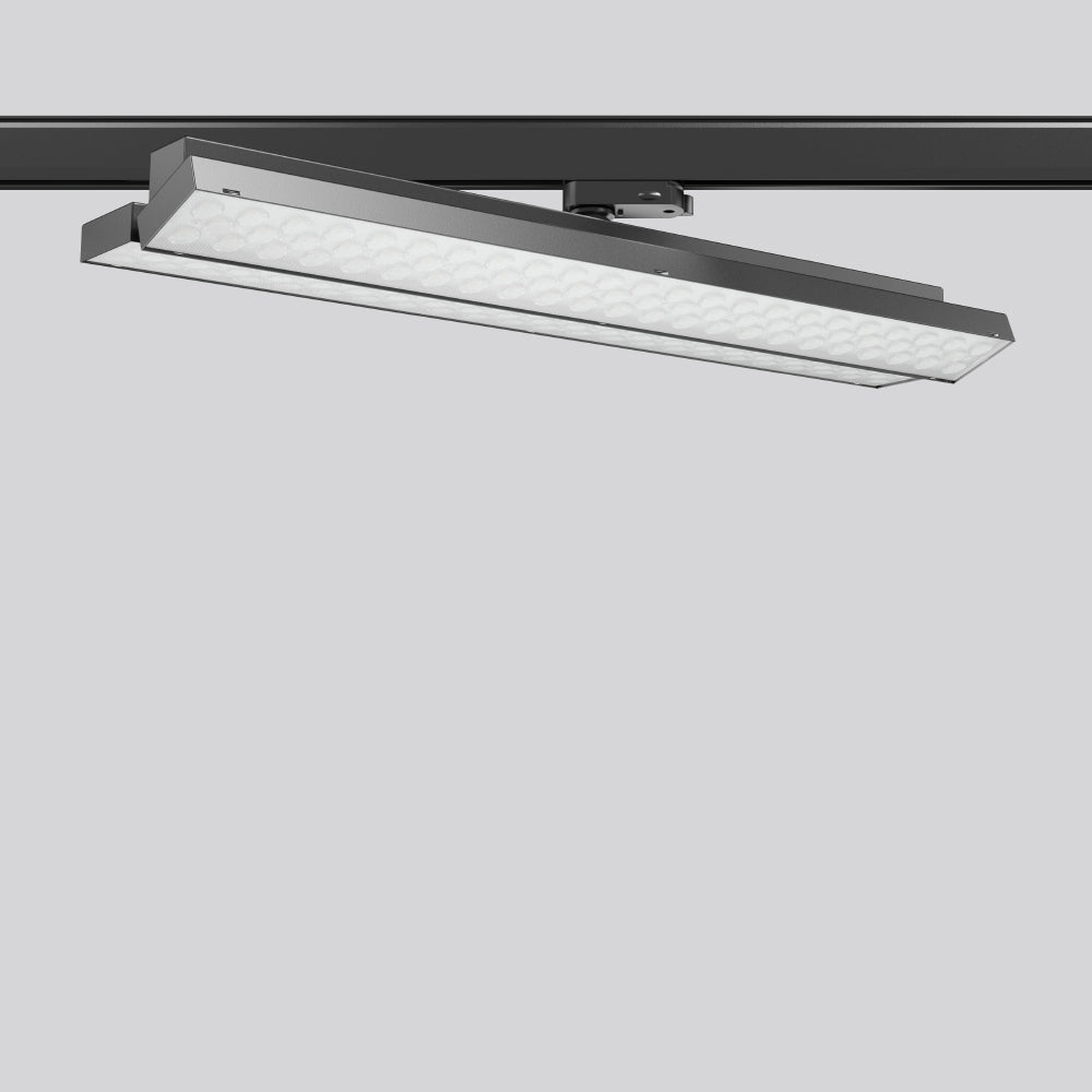 RZB LED-Schienenstrahler 2x38-62W Konv TX-MOVE 742163.003.2.76 DALI 2LEDs sw