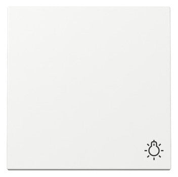 GIRA Wippe Schalter rws glz Licht System 55 328503
