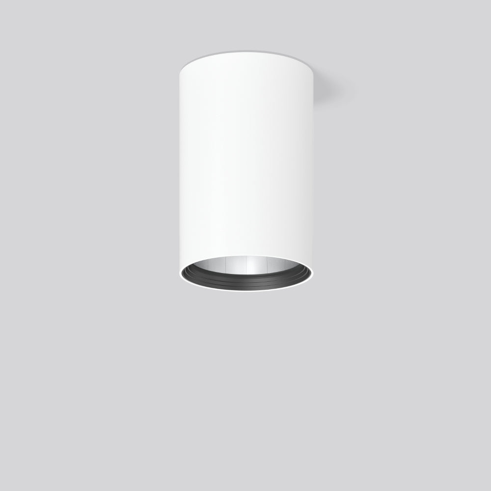 RZB LED-Anbaustrahler 25W Konv DALI 1LED HELEDON 931216.002.1.76 ws 4000K ws ws
