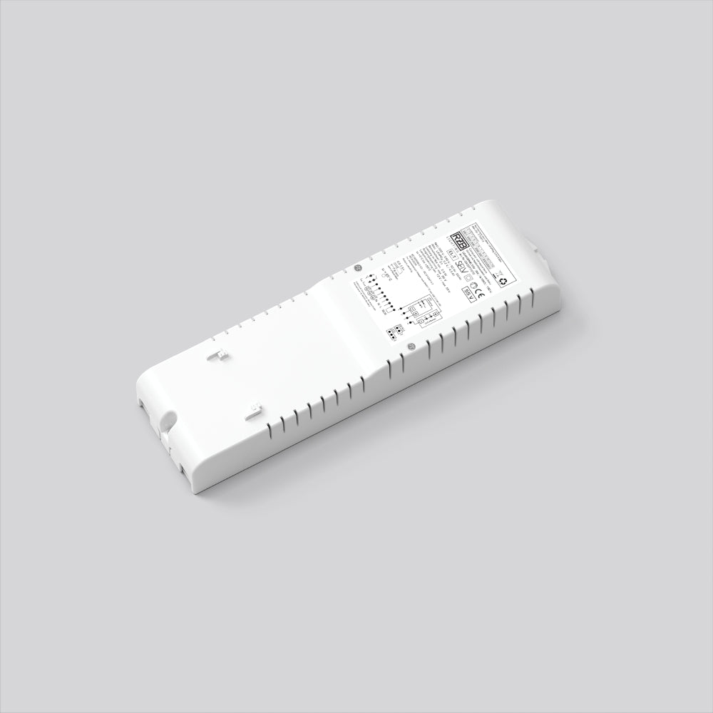 RZB Notlichtbaustein 1,2W 8h LED Kl:II 982938.002.04 Dauer/Bereitsch 220-240V