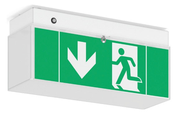 RZB LED-Sicherheitsleuchte 4,3W 6500K Minisign 672188.002 180lm Wand/Decke