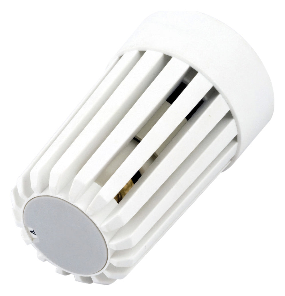 Honeywell Thermostat Thera-Van weiß, 20 Grad C, mit Diebstahlschutz | T100VM-101