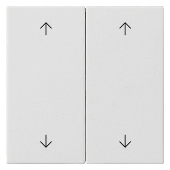 GIRA Wippe_2t Jalousie rws mt Pfeile System 55 538727