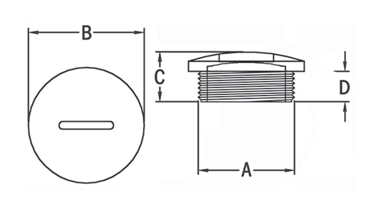 HAUPA Blindscheibe M25 Blindstopf 250166