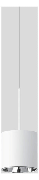 BEGA LED-Pendelleuchte 1LED 3000K 2264lm 51164.1K3 Konv sym IP20