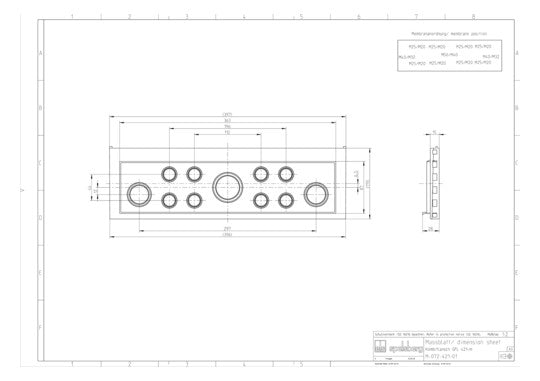 SPELSBERG Einführungsflansch Kst unbeh GFL 421-m 440x119mm Kabelverschr