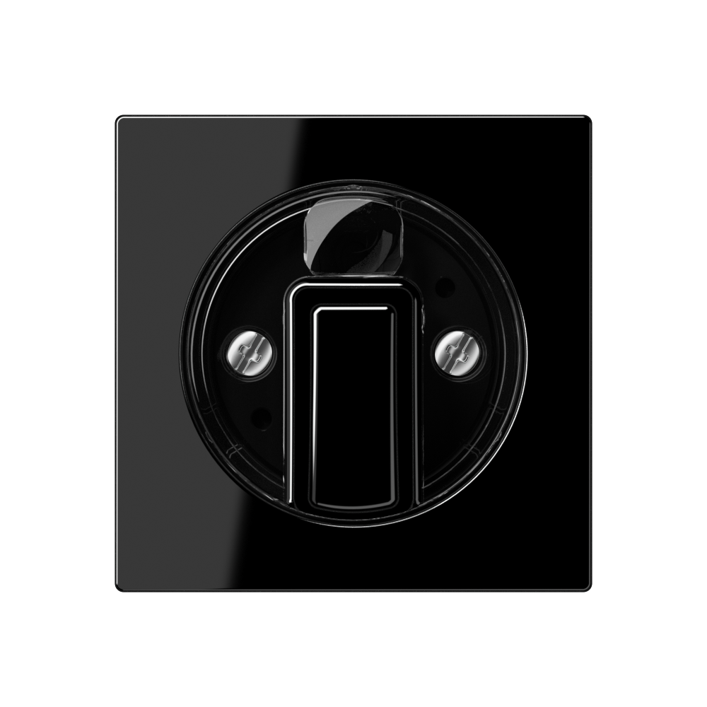 JUNG Knebel Jalousie sw glz A 1541 BF SW