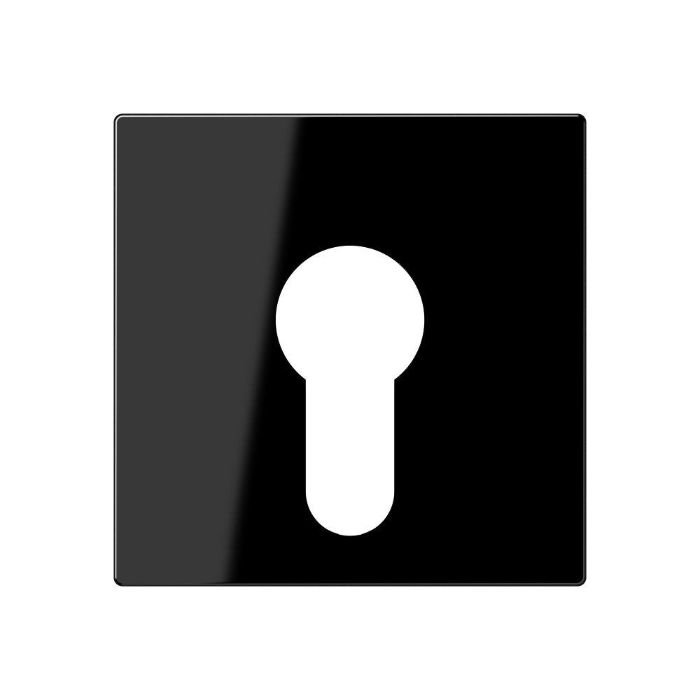 JUNG Schlüssel/Abd Schalter sw glz A 525 PL SW