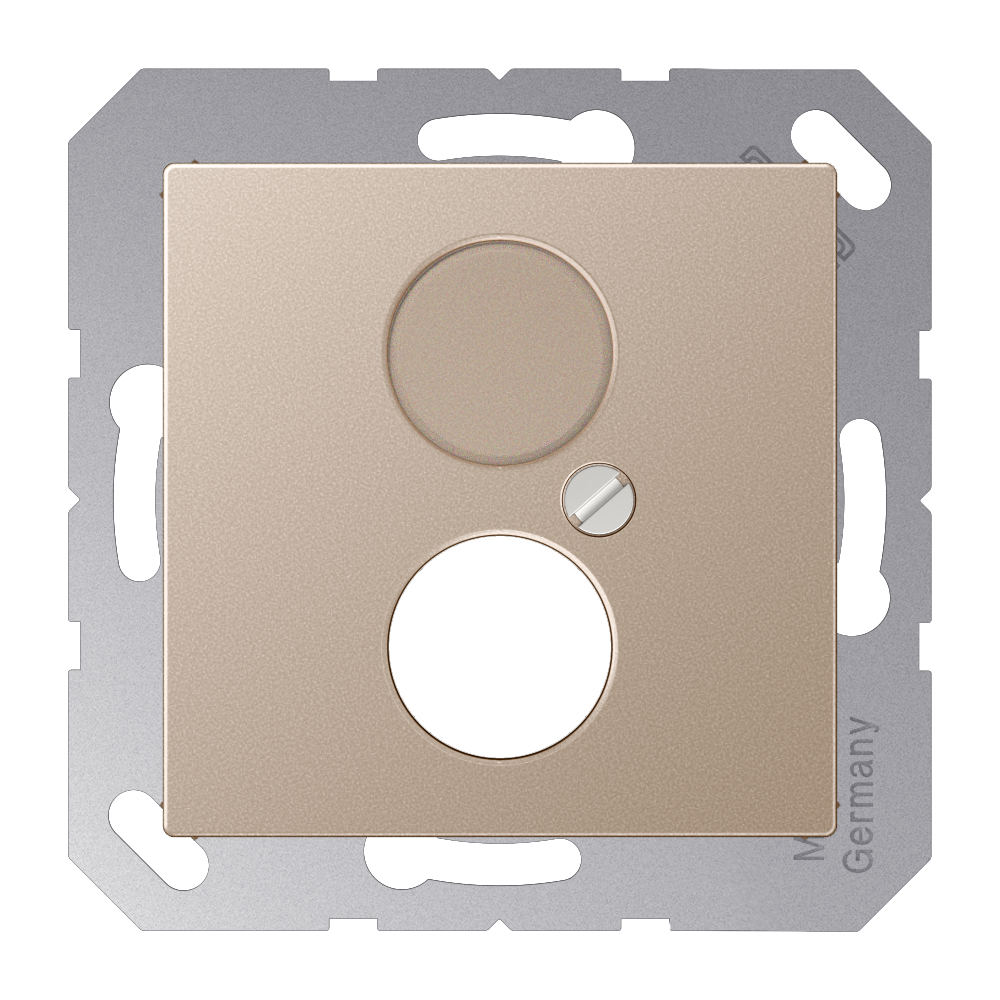 JUNG Zentralplatte LS 2f champ A 562 CH Schraubbef