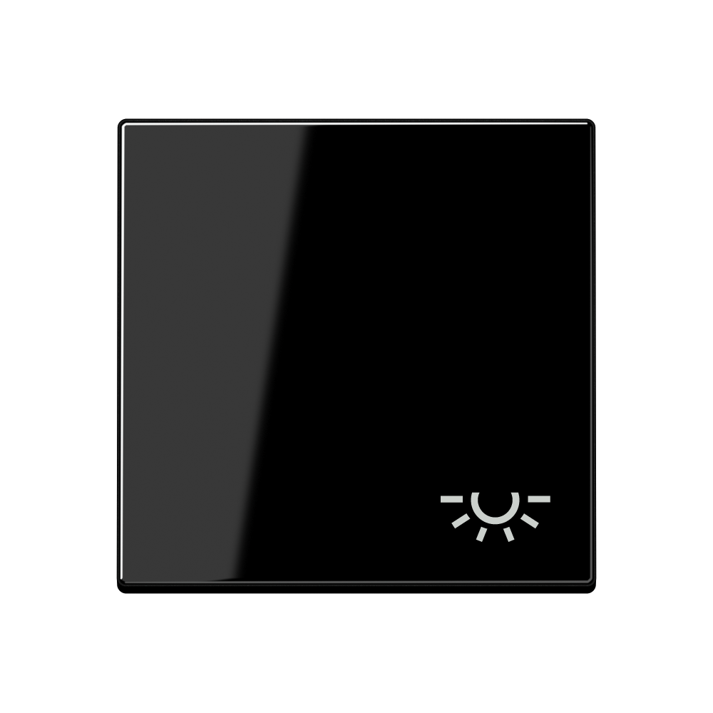 JUNG Wippe Schalter sw glz Licht A 590 BF L SW