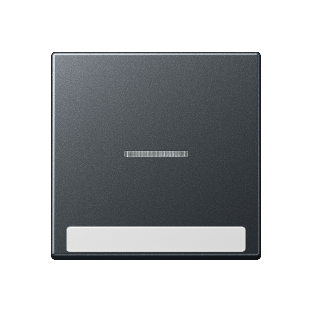 JUNG Kontrollwippe Schalter anth glz BSF A 590 BF N KO5 NM f.Bussystem