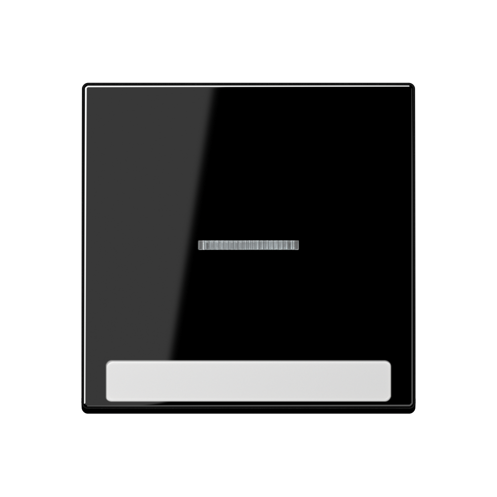 JUNG Kontrollwippe Schalter sw glz BSF A 590 BF N KO5 SW f.Bussystem