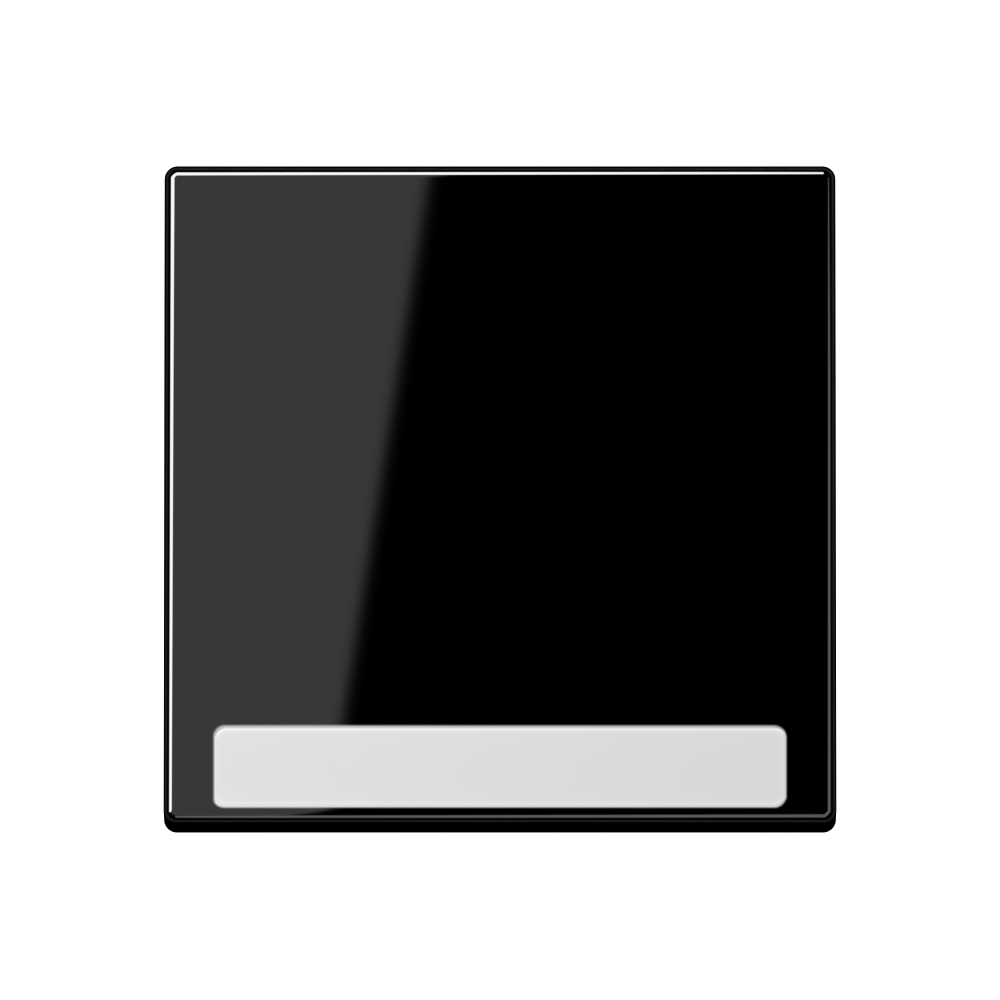 JUNG Wippe Schalter sw glz f.Bussystem A 590 BF N SW BSF