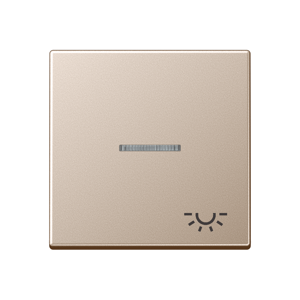JUNG Wippe 1t Schalter champ glz A 590 KO5 L CH Klingel