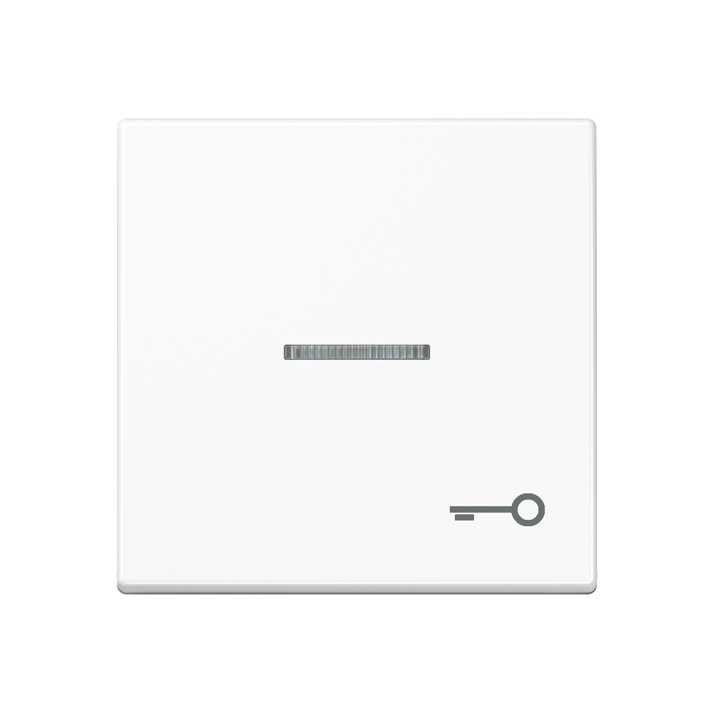 JUNG Wippe 1t Schalter aws glz A 590 KO5 T WW Schl/Tür