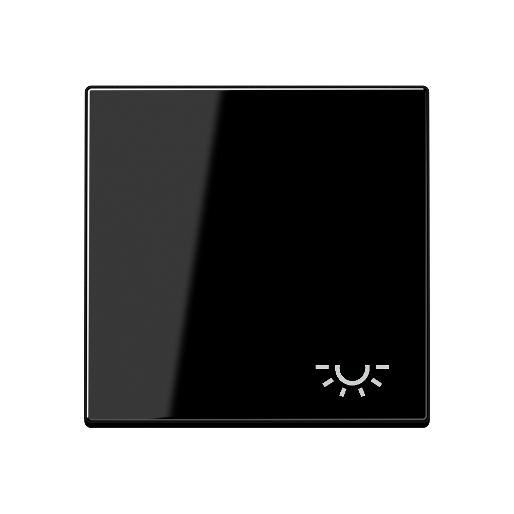 JUNG Wippe Schalter sw glz Licht A 590 L SW