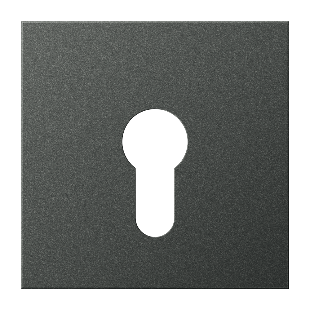 JUNG Schlüssel/Abd Schalter anth mt LS AL 2925 AN