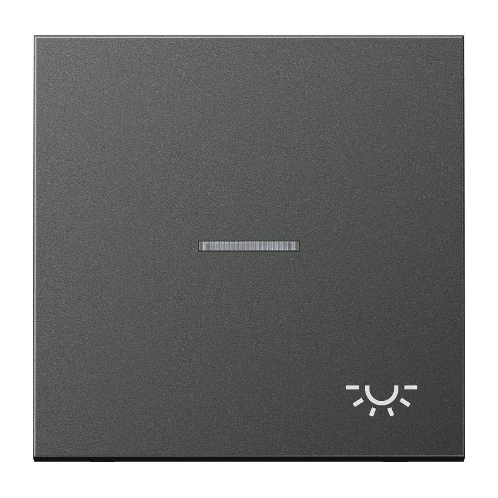 JUNG Wippe 1t Schalter anth mt Licht LS AL 2990 KO5 L AN
