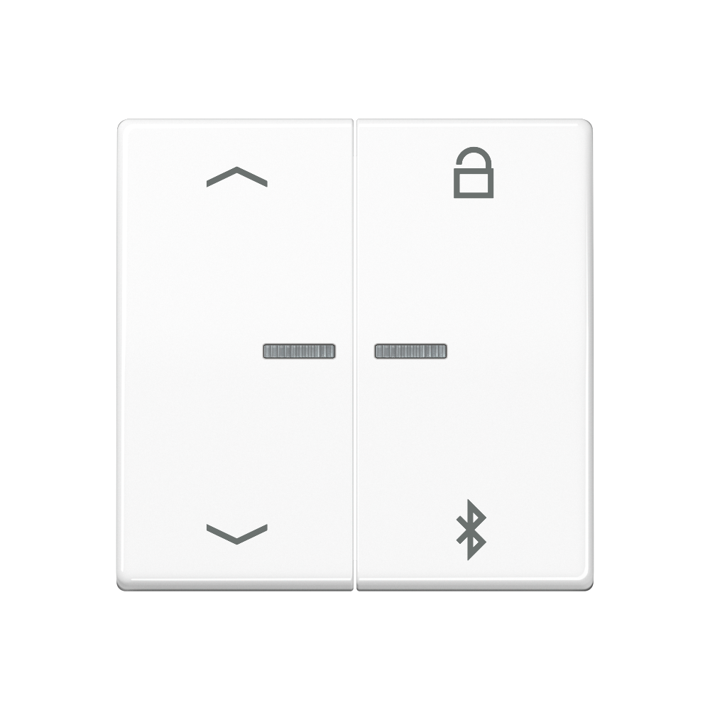 JUNG UP-BT-Timer-Einsatz aws glz AS 1751 PBT WW Basis+zentr.Abdeckpl
