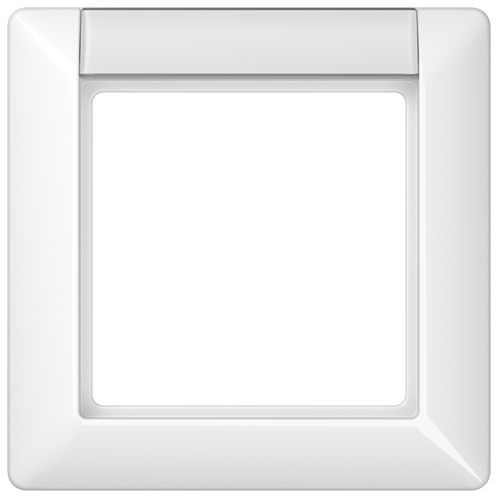 JUNG Einbaurahmen 1f aws glz BSF Kst AS / AS 500 AS 581 NA WW f.GEB-K