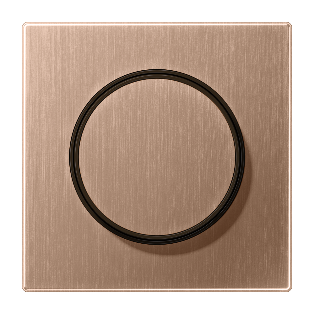 JUNG Abdeckung Symbol Dimmer brz mt BRG 1740