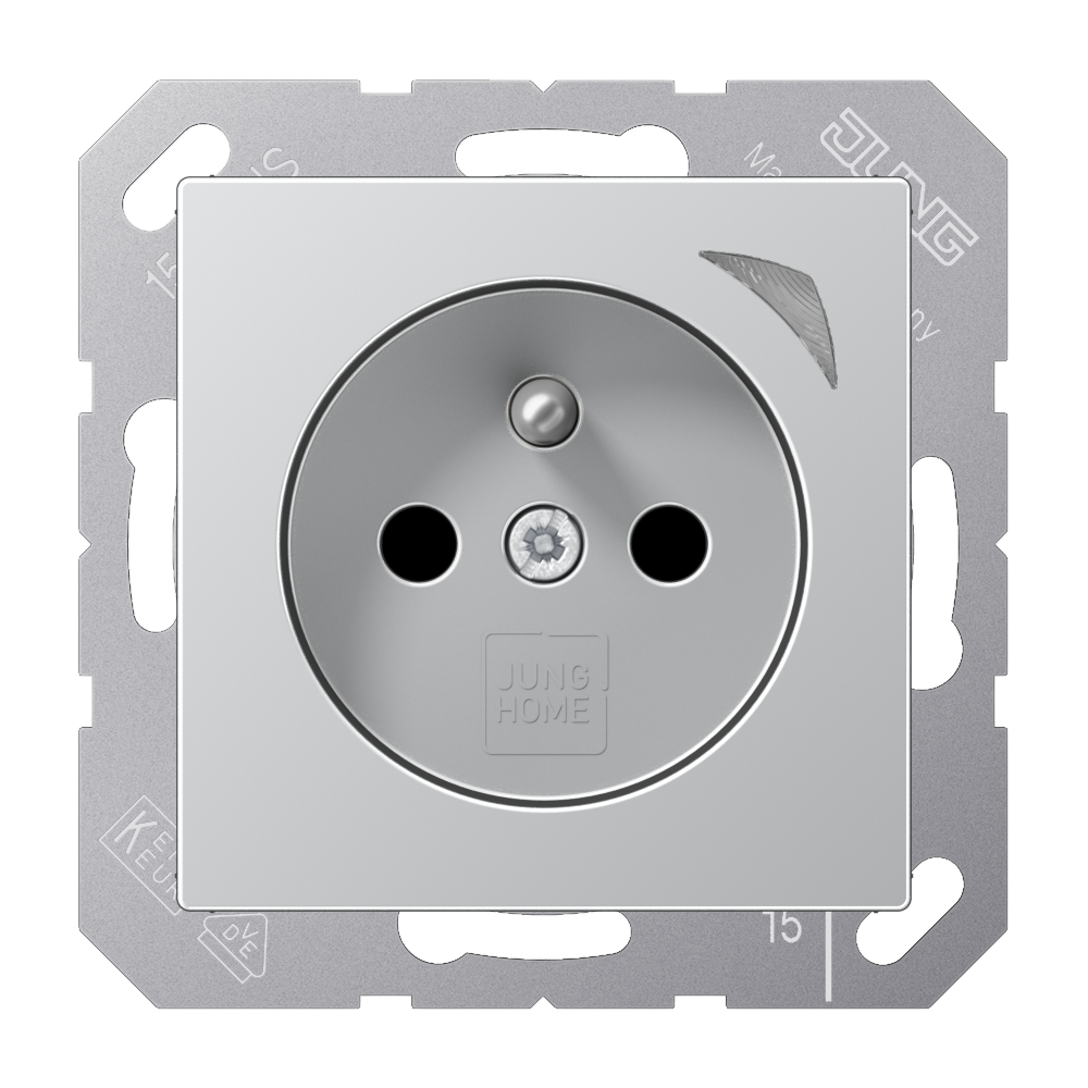 JUNG Steckdose 1f alu mt UP m.BS Schutzk BT A 1521 F S AL IP2X vert
