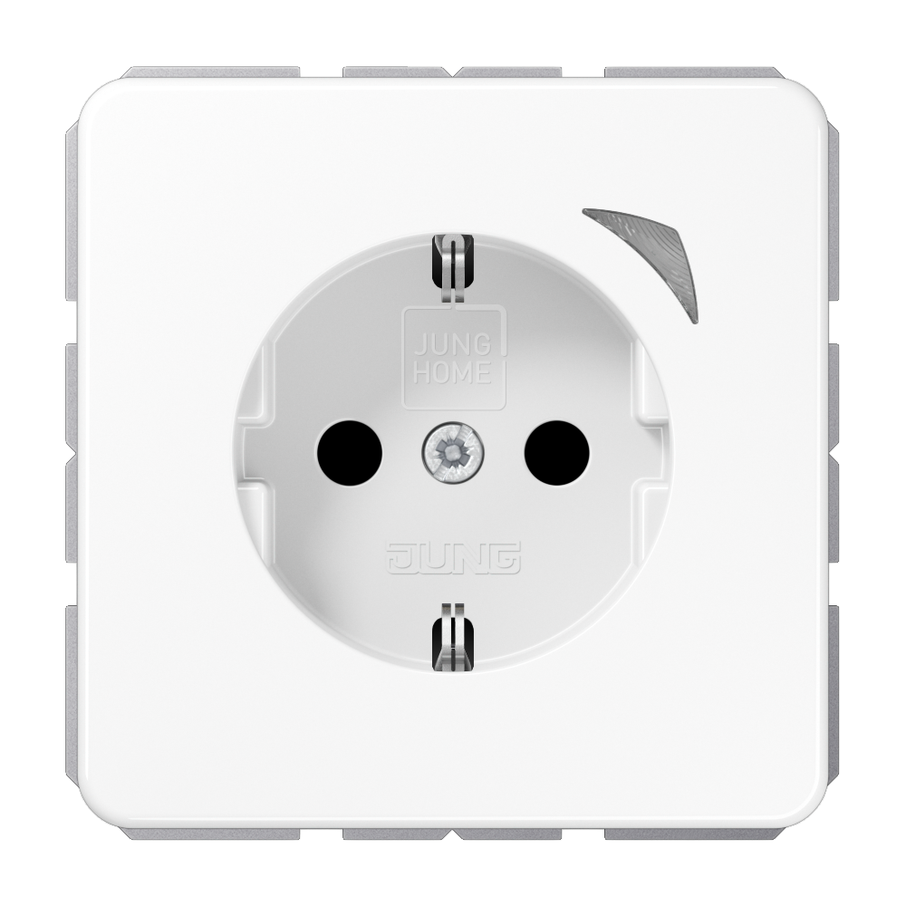 JUNG Steckdose 1f aws glz UP m.BS IP20 BT CD 1521 SE WW vert