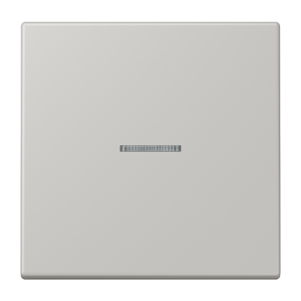 JUNG Bedienelement 1f gri_cla_31 m.Abd BT LC 17101 205 f.Dimmeins f.Schalteins
